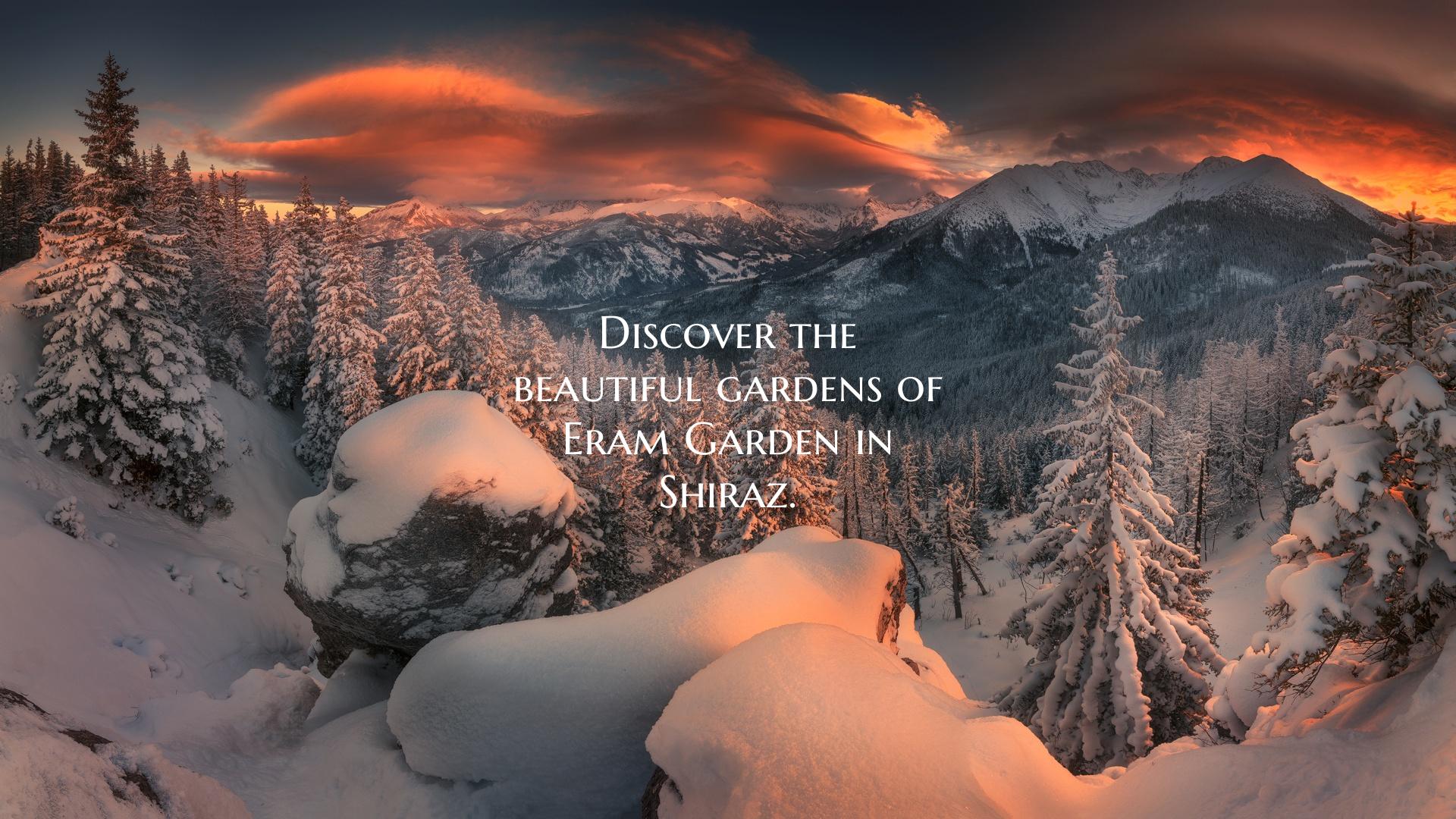 Discover the beautiful gardens of Eram Garden in S...